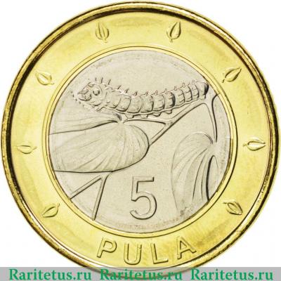Реверс монеты 5 пул (pul) 2013 года   Ботсвана