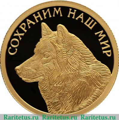 Реверс монеты 50 рублей 2020 года СПМД Полярный волк