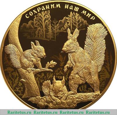 Реверс монеты 10000 2023 года СПМД Белка обыкновенная proof