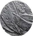 Деталь монеты 1 рубль 1728 года  со звездой