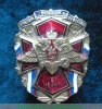 Знак "Участник боевых действий в Чечне", Российская Федерация