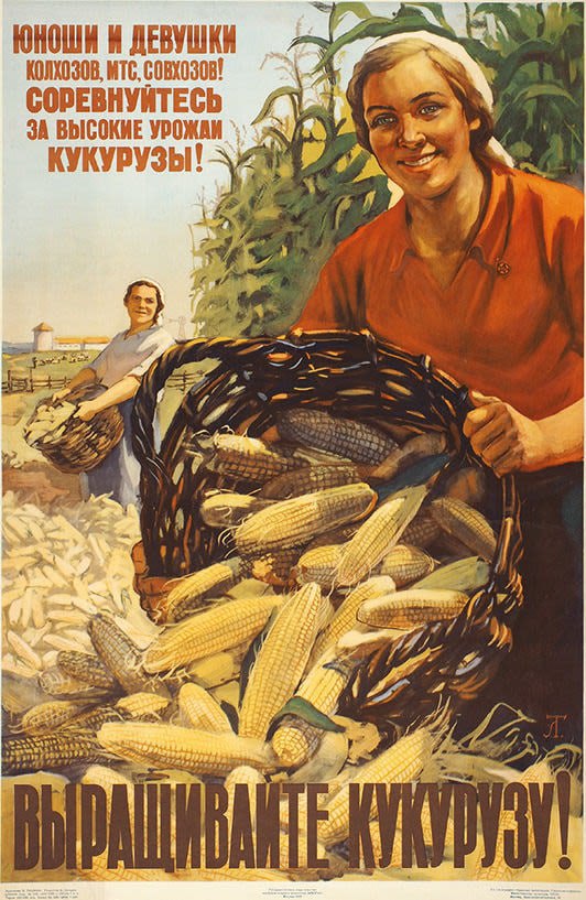 Плакат “Юноши и девушки колхозов, МТС, совхозов! Соревнуйтесь за высокие урожаи кукурузы! выращивайте кукурузу!”, худ. В. Тишкин, 1955 г.