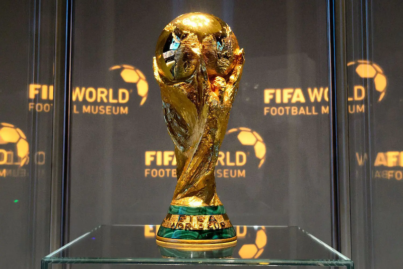 Кубок мира FIFA
