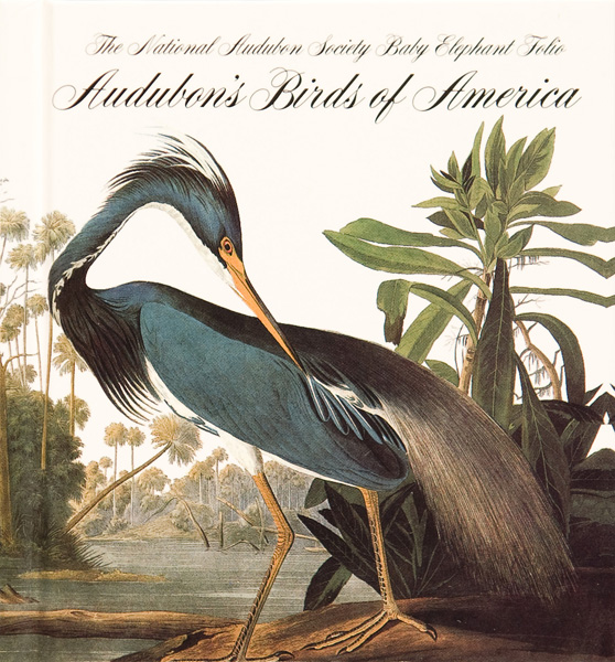 Обложка книги «Птицы Америки, Джон Джеймс Одюбон, 1827-1838 гг.