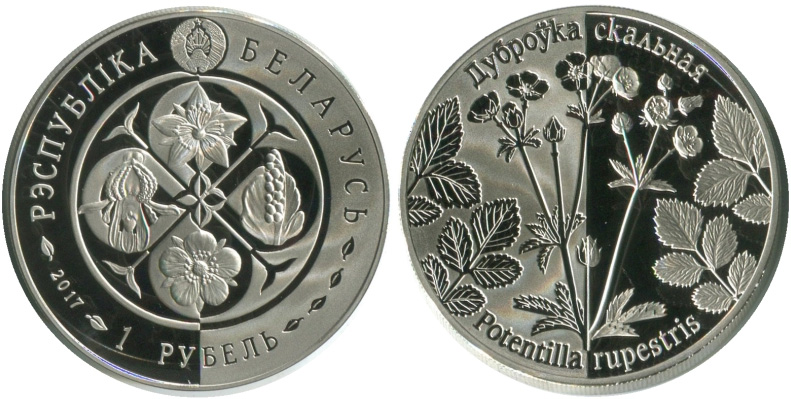 1 рубль Беларуси