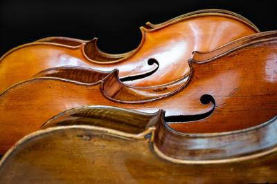 От органа до ситара: рейтинг самых сложных музыкальных инструментов
