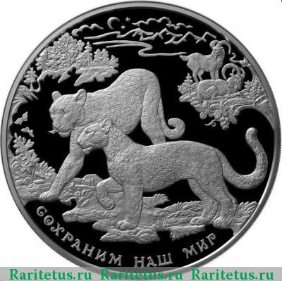 Реверс монеты 100 рублей 2011 года ММД леопард, серебро proof
