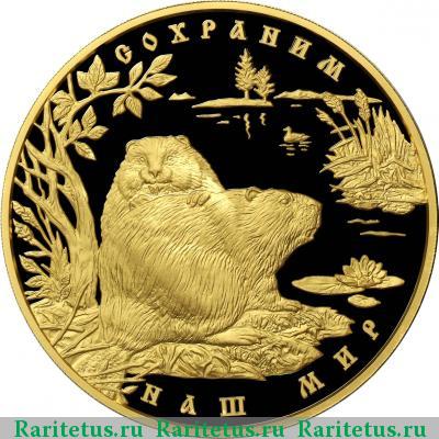 Реверс монеты 10000 рублей 2008 года ММД бобр proof