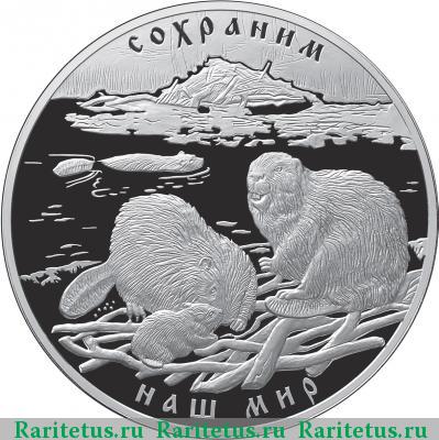 Реверс монеты 100 рублей 2008 года СПМД бобр, серебро proof
