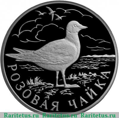Реверс монеты 1 рубль 1999 года СПМД чайка proof