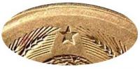 Деталь монеты 3 копейки 1938 года  перепутка