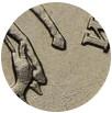 Деталь монеты 5 копеек 2002 года  без букв