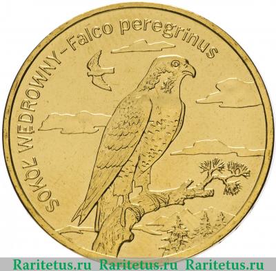 Реверс монеты 2 злотых (zlote) 2008 года  сапсан Польша