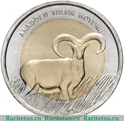 Реверс монеты 1 лира (lirasi) 2015 года  муфлон Турция