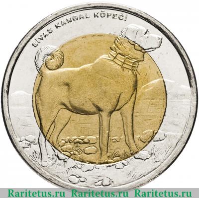 Реверс монеты 1 лира (lirasi) 2010 года  собака Турция