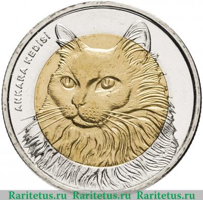 Реверс монеты 1 лира (lirasi) 2010 года  кошка Турция