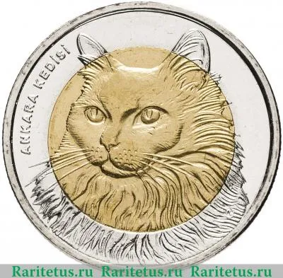 Реверс монеты 1 лира (lirasi) 2010 года  кошка Турция