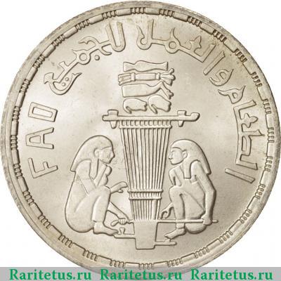 Реверс монеты 1 фунт (pound) 1981 года   Египет