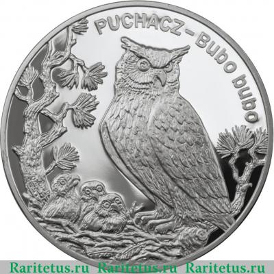 Реверс монеты 20 злотых (zlotych) 2005 года  филин Польша