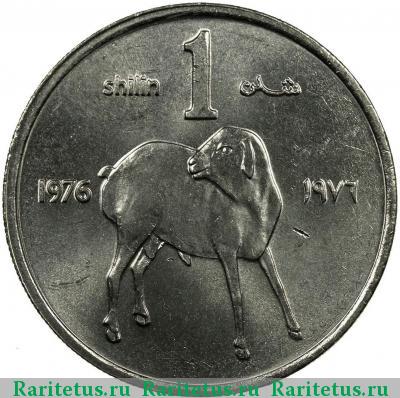 Реверс монеты 1 шиллинг (shilling) 1976 года  Сомали Сомали