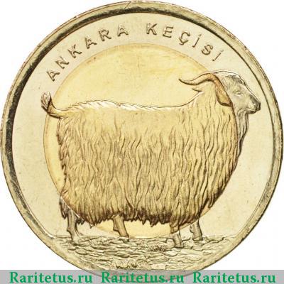 Реверс монеты 1 лира (lirasi) 2015 года  коза Турция