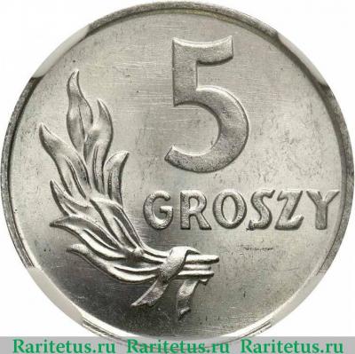 Реверс монеты 5 грошей (groszy) 1949 года   Польша