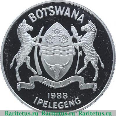 5 пул (pul) 1988 года   Ботсвана proof
