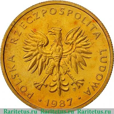 5 злотых (zlotych) 1987 года   Польша