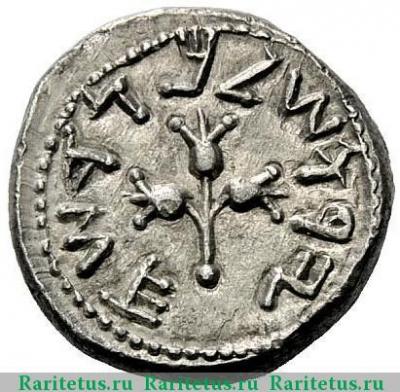 Реверс монеты 1/2 шекеля (sheqel) 66 года   Иудея