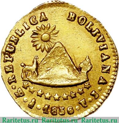 Реверс монеты 1/2 скудо (scudo) 1852-1857 годов   Боливия