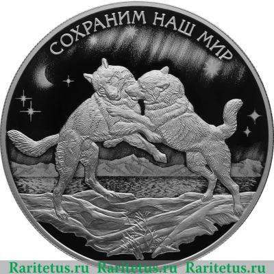 Реверс монеты 25 рублей 2020 года СПМД Полярный волк