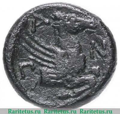 Реверс монеты дихалк 314-310 до н. э. годов   Пантикапей