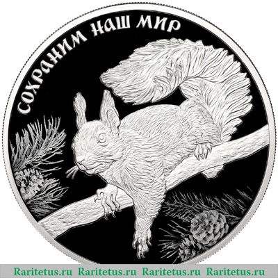 Реверс монеты 3 рубля 2023 года СПМД Белка обыкновенная proof