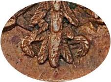 Деталь монеты денга 1748 года  12 перьев, хвост узкий
