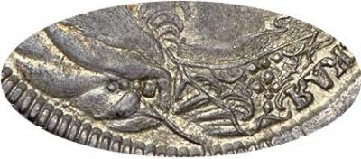 Деталь монеты полтина 1737 года  московский тип