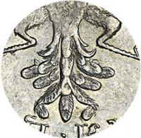 Деталь монеты 1 рубль 1726 года  хвост узкий