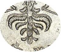 Деталь монеты 1 рубль 1726 года  хвост широкий, 9 перьев