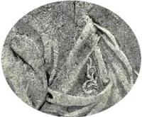 Деталь монеты 1 рубль 1710 года  с орденской лентой