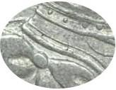 Деталь монеты 1 рубль 1719 года OK пряжка, без розетки