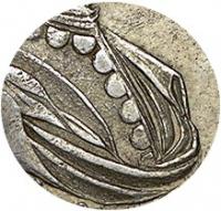 Деталь монеты 1 рубль 1721 года  без букв, без пальмовой ветви