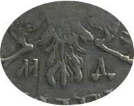 Деталь монеты полтина 1704 года МД перья редкие
