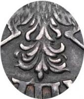 Деталь монеты 1 рубль 1704 года  без букв, хвост узкий