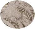 Деталь монеты полтина 1712 года  дата под орлом