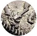 Деталь монеты гривенник 1718 года L-L на лапе