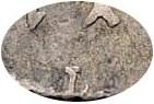 Деталь монеты гривенник 1718 года L-L на лапе