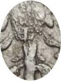 Деталь монеты гривенник 1718 года L-L на хвосте и под датой
