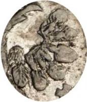 Деталь монеты 1 копейка 1714 года  6 перьев
