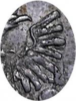 Деталь монеты 1 копейка 1714 года  малая корона