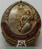 Знак «Отличник РККА», СССР