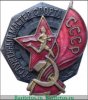 Знак «Заслуженный мастер спорта СССР» 1930 года, СССР